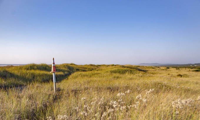 Ocean City Complejo | Surfcrest Resort - 26 beautiful beachfront acres