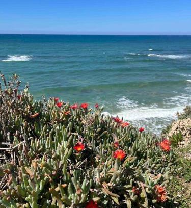 Herzliya Pituach Apartamento | Surfers Paradise Beach House