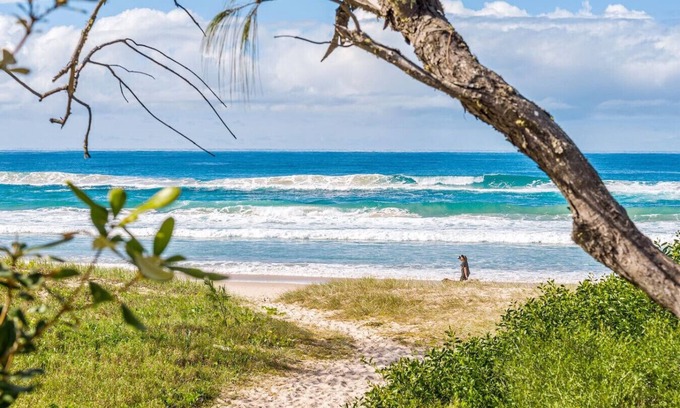 Pottsville Casa | Surfside Beach House - Ideal Fam