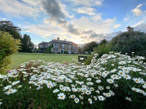 Thirsk Apartamento | Sutton Hall Resort