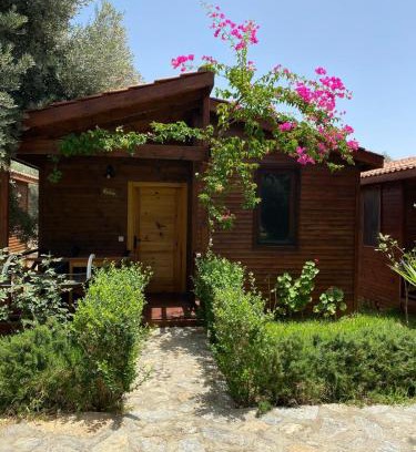 Hayitbuku Apartamento | Suzi'nin Bahçesi Bungalov Evler