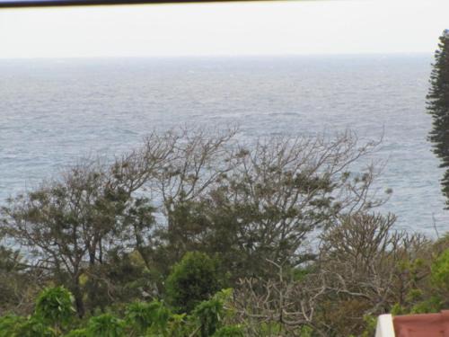 Port Edward Casa | Suzy's Place