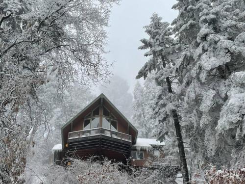 Springville Casa | Sweet getaway in private Giant Sequoia Grove!