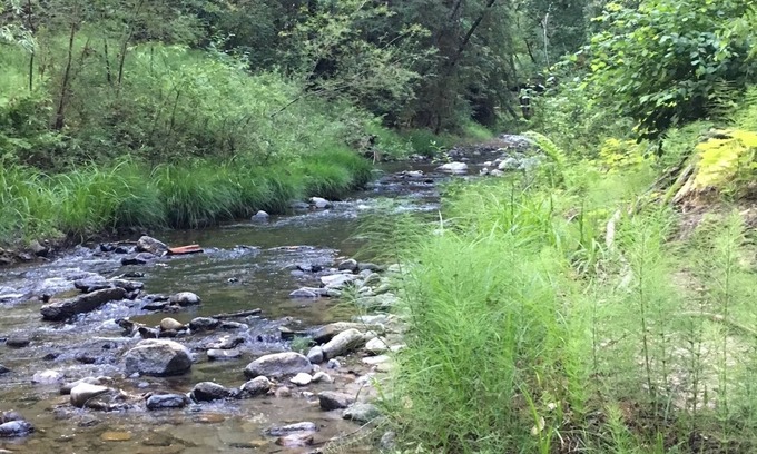 Soquel Cabina | Sweet Spot in the Santa Cruz Redwoods 10 minutes from the Ocean