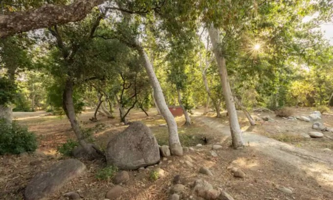 Three Rivers Casa | Sycamore Forest Retreat