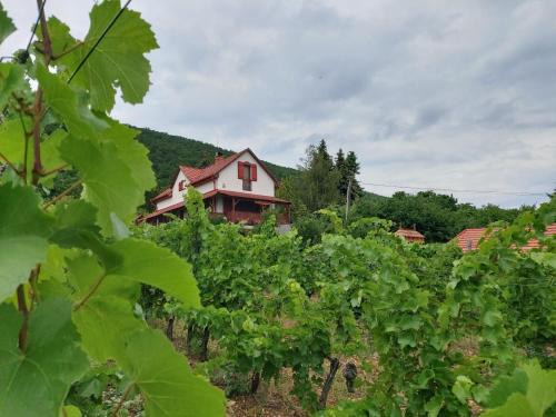 Eger Casa | Szőlőcskei Vendégház és Pihenő