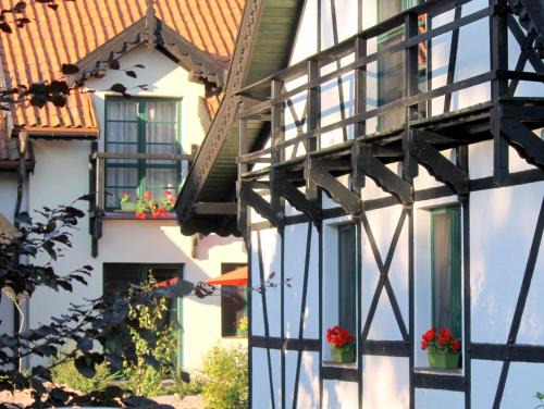 Zawady Oleckie Casa | Szwajcaria Mazurska