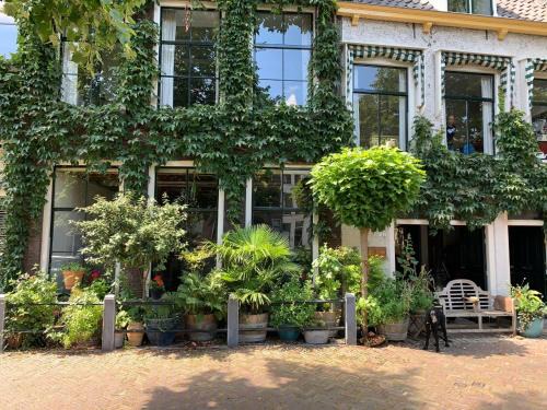 Schiedam Apartamento | 't hart van Schiedam