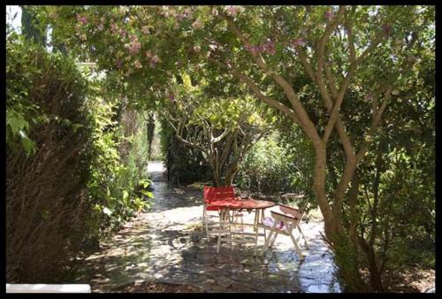 Porquerolles Apartamento | T3 vue jardin à deux pas du centre du village