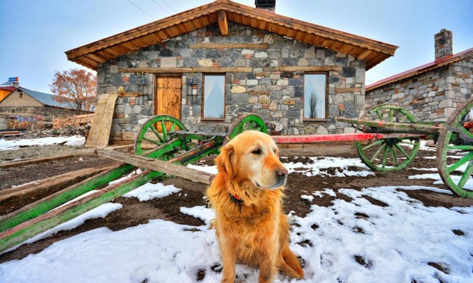 Selim Chalet De Esquí | taş evler