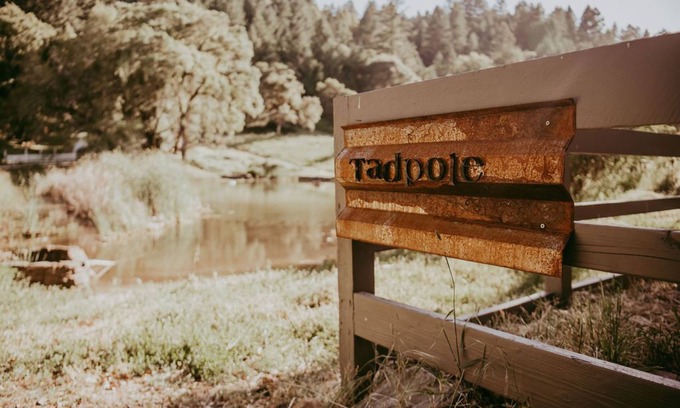California Wine Country Cabaña | Tadpole Cottage