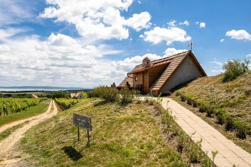 Tagyon Apartamento | Tagyon Birtok Kései szüret Apartmanház