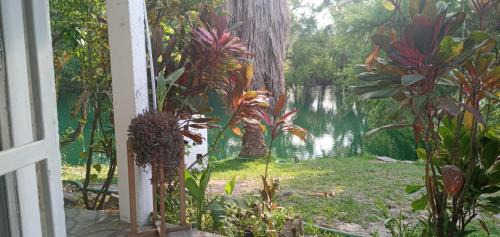 La Huasteca Casa | tamasopo y sus rios