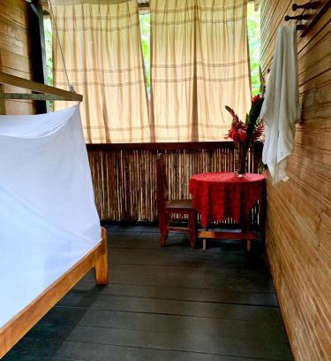 Tambopata Casa | tambopata oropendola