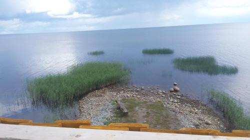 Vilusi Otro | Tammispää Camping