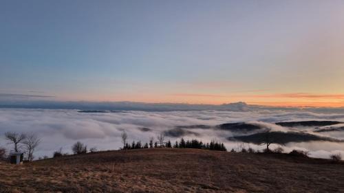 Zlatibor Villa | Taorska Vrela - Natura Village