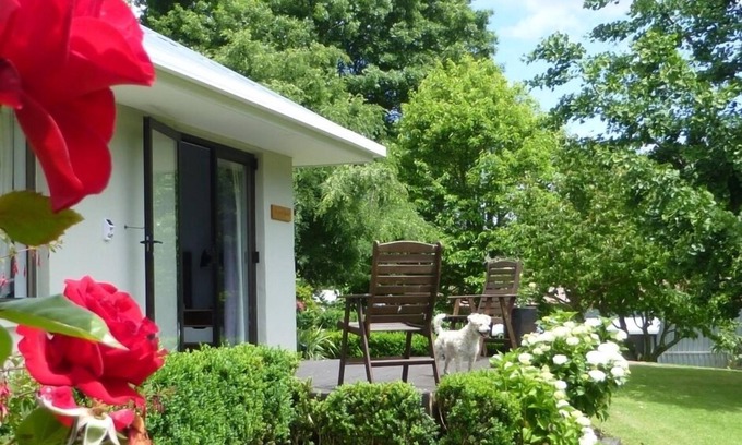 Aongatete Otro | Casa de búsqueda de jardín privado espaciosa y de buen gusto