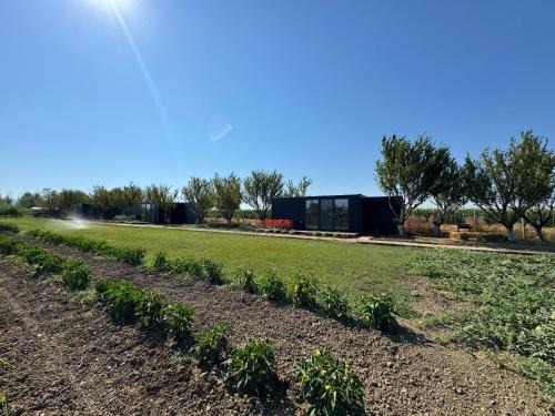 Rade Casa | Te Vreshti - Container Home