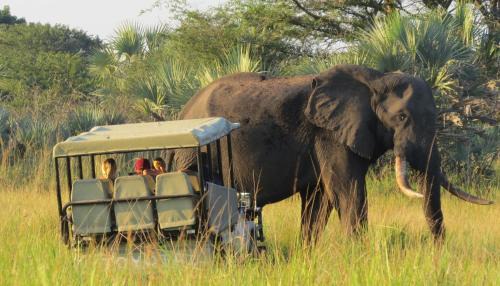 Kosi Bay Otro | Tembe Elephant Park Lodge