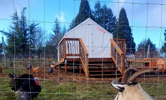 Gaston Alquiler De RV | Tentrr Signature Site - Quail Run Vineyard and Farm