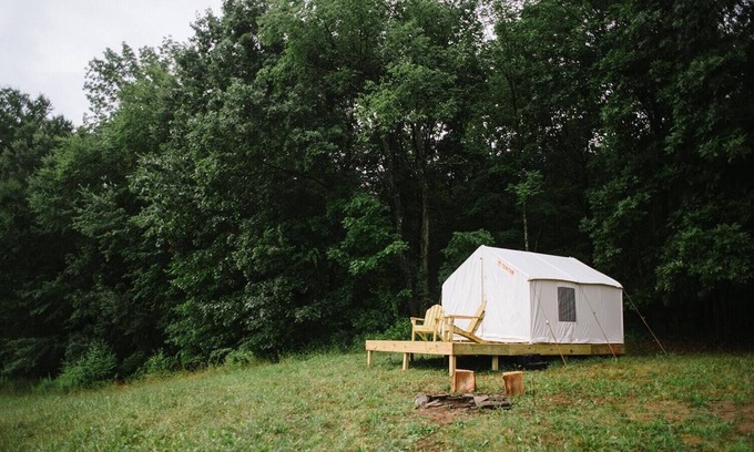 Westtown Alquiler De RV | Tentrr - Árbol de carbón del campamento