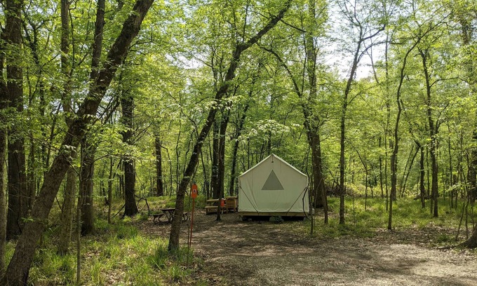 Saint Landry Alquiler De RV | Tentrr State Park Site - Louisiana Chicot State Park - Site A - Single Camp