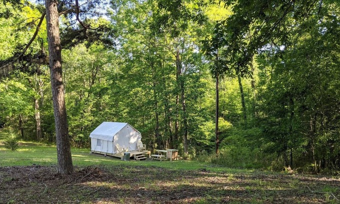 Saint Landry Alquiler De RV | Tentrr State Park Site - Louisiana Chicot State Park - Site H - Single Camp