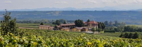 Rocca Grimalda Casa | Tenuta Montebello