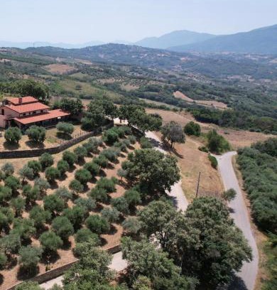 Altavilla Silentina Cama Y Desayuno | Tenuta Raimo