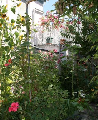 Worms Apartamento | TerasenAppartement