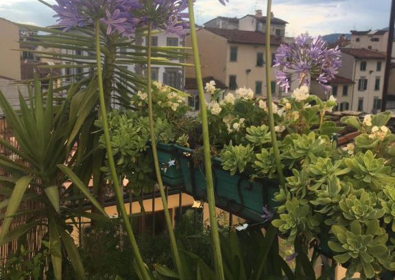 Santa Croce Apartamento | Terrazza su Sant'Ambrogio a Firenze