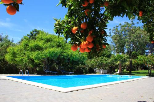 San Giorgio-Librino-San Giuseppe la Rena-Zia Lisa-Villaggio Sant'Agata Apartamento | Terre del Cardinale Country Suites