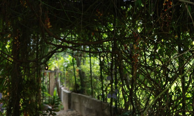 Kandy Chalet De Esquí | Terrific chalet with WiFi in charming Kandy