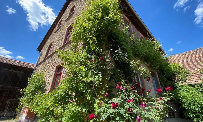 Bockenheim an der Weinstrasse Apartamento | The 74 - Bel Etage