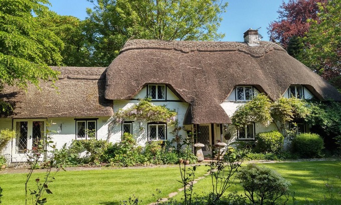 New Forest District Cama Y Desayuno | Thatched Eaves
