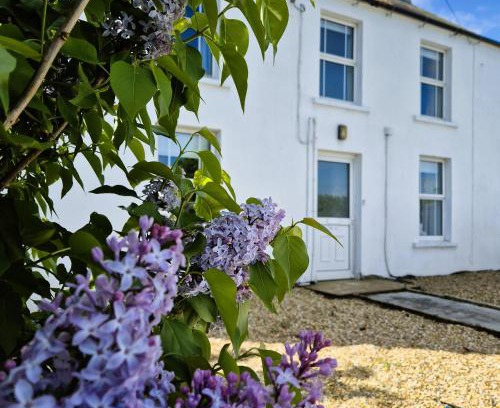 Dromore Casa | The Alpaca Farmhouse with hot tub and alpaca experience included