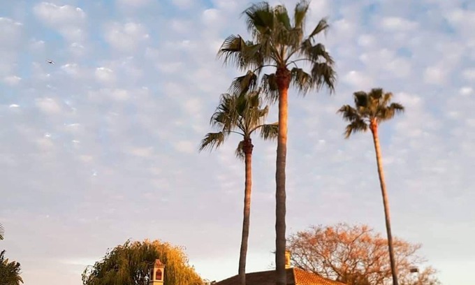 Olhao Villa | The ample Villa/ luxurious interior/4 mins from the beach!