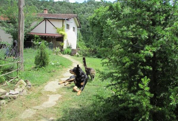 Dryanovo Casa | The Barn