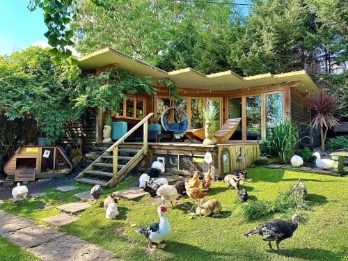 Hanham Casa | The Base Vegan Retreat Animal Sanctuary