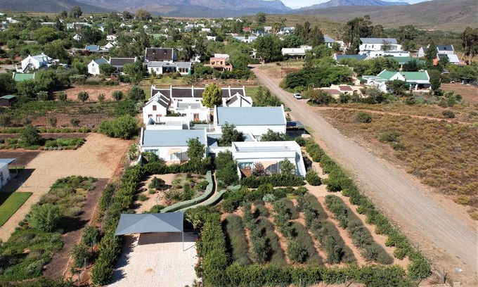 McGregor Casa | The Bean Tree