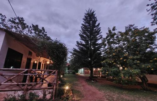 Masinagudi Casa | The Big Cat's Den - Maravakandy Resort, Masinagudi
