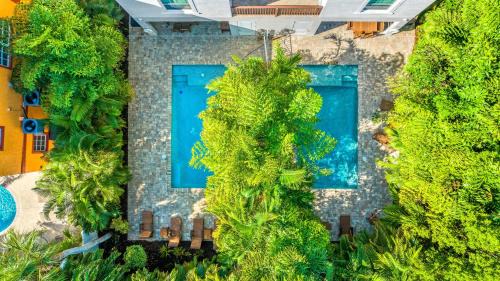 Siesta Key Village Casa | The Big Kahuna