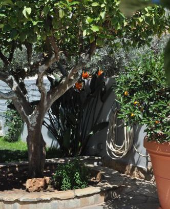 Markopoulon Apartamento | The BloomYard