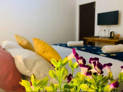Morjim Complejo | The Bodhi Tree Resort