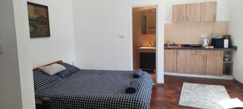 Kosancicev Venac Apartamento | The Bridgeview Suite