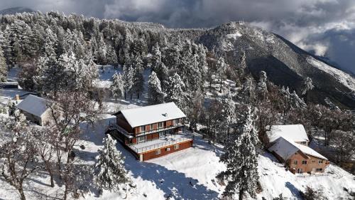 Running Springs Casa | THE Cabin