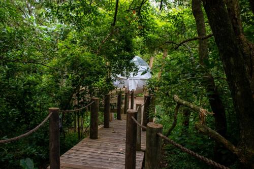 Storms River Otro | The Cacoon Tsitsikamma