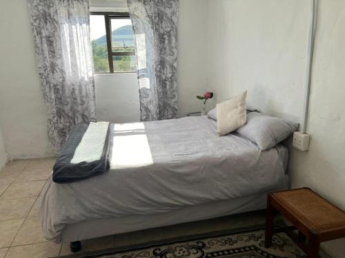 Nkonkobe Apartamento | The Calvert