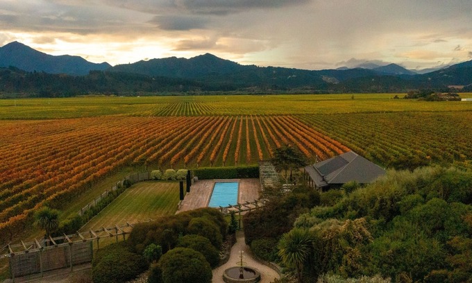 Renwick Casa | The Cellar Door - Blenheim Holiday Home