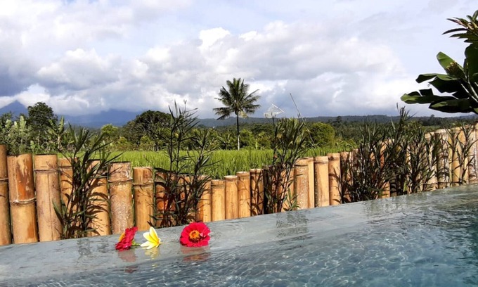 Banjartegehe Villa | The Champuhan Villa - Villa de Luna de Miel con Vista al Campo de Arroz